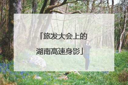 旅发大会上的湖南高速身影