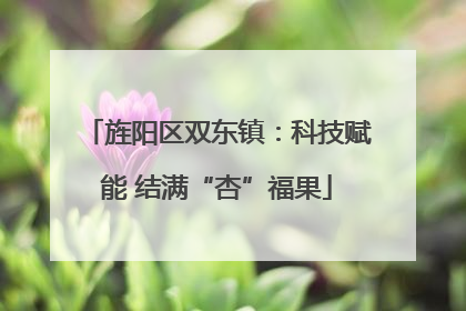 旌阳区双东镇：科技赋能 结满“杏”福果