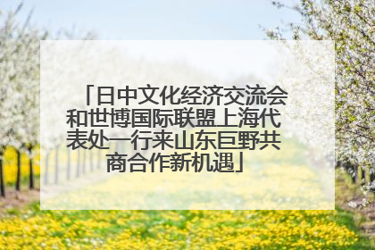 日中文化经济交流会和世博国际联盟上海代表处一行来山东巨野共商合作新机遇
