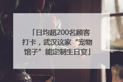 日均超200名顾客打卡，武汉这家“宠物馆子”能定制生日宴