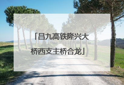 昌九高铁隆兴大桥西支主桥合龙