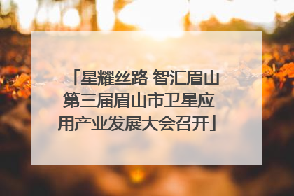 星耀丝路 智汇眉山 第三届眉山市卫星应用产业发展大会召开