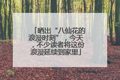 晒出“八仙花的浪漫时刻”，今天，不少读者将这份浪漫延续到家里