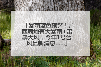 暴雨蓝色预警！广西局地有大暴雨+雷暴大风，今年1号台风最新消息……