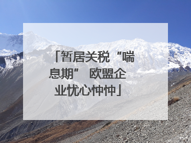 暂居关税“喘息期” 欧盟企业忧心忡忡