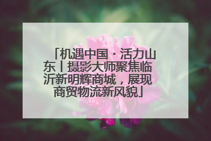 机遇中国・活力山东丨摄影大师聚焦临沂新明辉商城，展现商贸物流新风貌