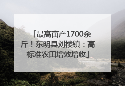 最高亩产1700余斤！东明县刘楼镇：高标准农田增效增收