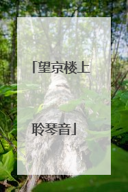 望京楼上聆琴音