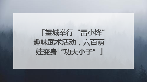 望城举行“雷小锋”趣味武术活动，六百萌娃变身“功夫小子”