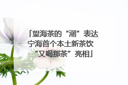 望海茶的“潮”表达 宁海首个本土新茶饮“又喝那茶”亮相