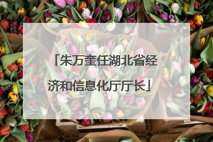 朱万奎任湖北省经济和信息化厅厅长