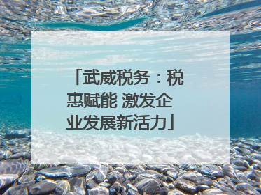 武威税务：税惠赋能 激发企业发展新活力