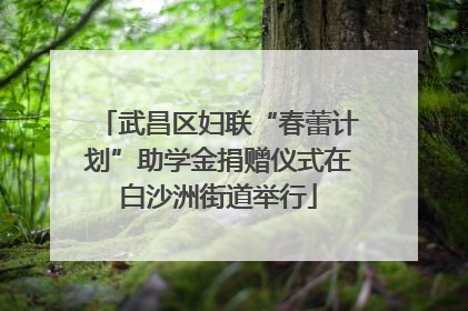 武昌区妇联“春蕾计划”助学金捐赠仪式在白沙洲街道举行