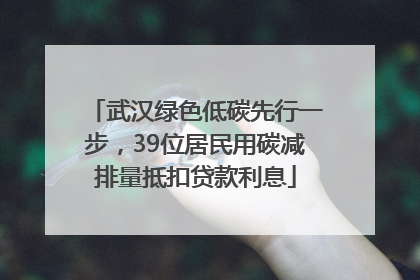 武汉绿色低碳先行一步，39位居民用碳减排量抵扣贷款利息