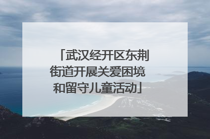 武汉经开区东荆街道开展关爱困境和留守儿童活动