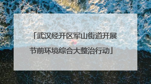 武汉经开区军山街道开展节前环境综合大整治行动