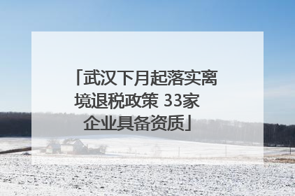 武汉下月起落实离境退税政策 33家企业具备资质