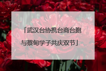 武汉台协携台商台胞与蔡甸学子共庆双节