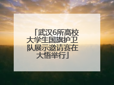 武汉6所高校大学生国旗护卫队展示邀请赛在大悟举行