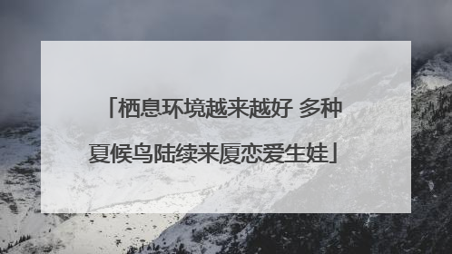 栖息环境越来越好 多种夏候鸟陆续来厦恋爱生娃