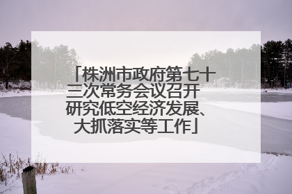 株洲市政府第七十三次常务会议召开 研究低空经济发展、大抓落实等工作
