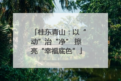 桂东青山：以“动”治“净” 擦亮“幸福底色”