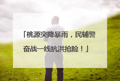 桃源突降暴雨，民辅警奋战一线抗洪抢险！