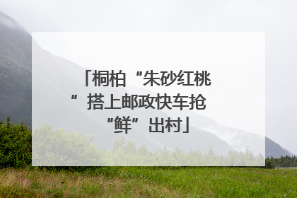 桐柏“朱砂红桃”搭上邮政快车抢“鲜”出村