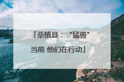 桑植县：“猛兽”当前 他们在行动