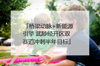 桥梁动脉+新能源引擎 武陟经开区双赛道冲刺半年目标