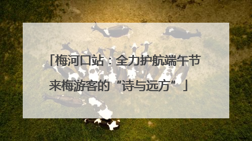 梅河口站：全力护航端午节来梅游客的“诗与远方”