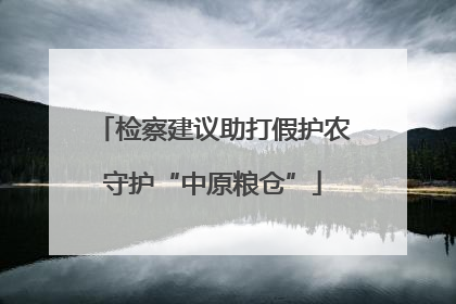 检察建议助打假护农守护“中原粮仓”