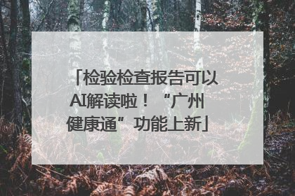 检验检查报告可以AI解读啦！“广州健康通”功能上新
