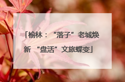 榆林：“落子”老城焕新 “盘活”文旅蝶变