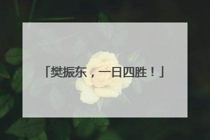 樊振东，一日四胜！