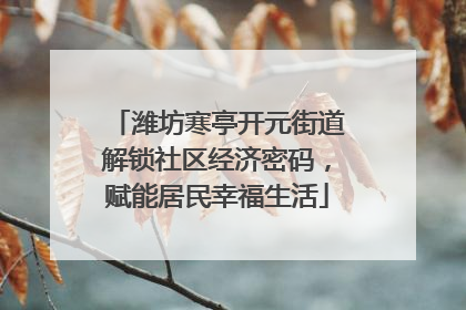 潍坊寒亭开元街道解锁社区经济密码，赋能居民幸福生活