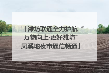 潍坊联通全力护航“万物向上·更好潍坊”凤溪地夜市通信畅通