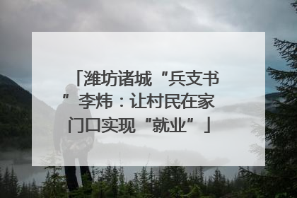 潍坊诸城“兵支书”李炜：让村民在家门口实现“就业”