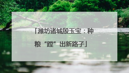 潍坊诸城殷玉宝：种粮“蹚”出新路子