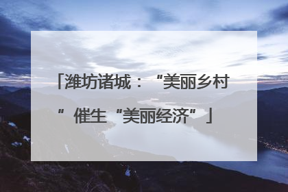 潍坊诸城：“美丽乡村”催生“美丽经济”
