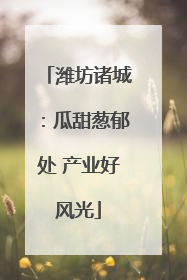 潍坊诸城：瓜甜葱郁处 产业好风光