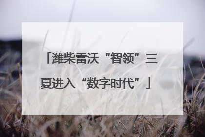 潍柴雷沃“智领”三夏进入“数字时代”