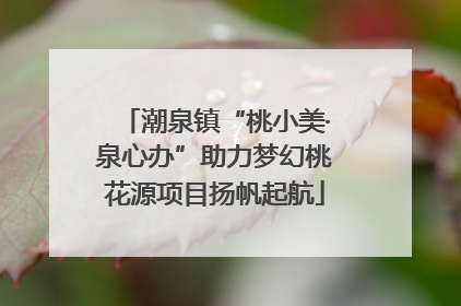 潮泉镇“桃小美·泉心办”助力梦幻桃花源项目扬帆起航
