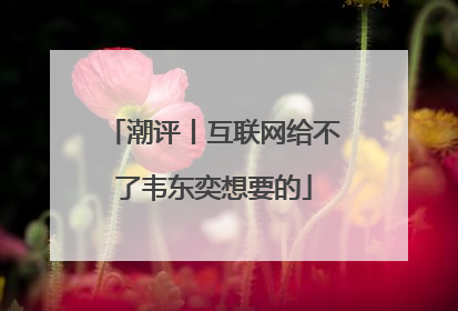 潮评丨互联网给不了韦东奕想要的
