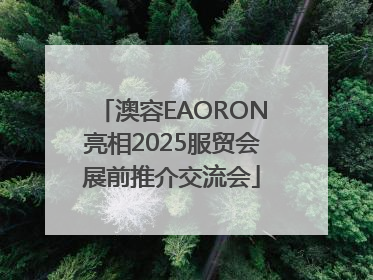 澳容EAORON亮相2025服贸会展前推介交流会