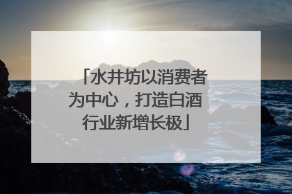 水井坊以消费者为中心，打造白酒行业新增长极