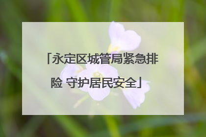 永定区城管局紧急排险 守护居民安全