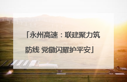 永州高速：联建聚力筑防线 党徽闪耀护平安