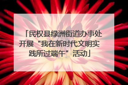 民权县绿洲街道办事处开展“我在新时代文明实践所过端午”活动