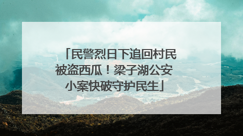 民警烈日下追回村民被盗西瓜！梁子湖公安小案快破守护民生